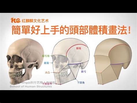 骨頭怎麼畫